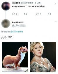 Скриншоты из социальных сетей