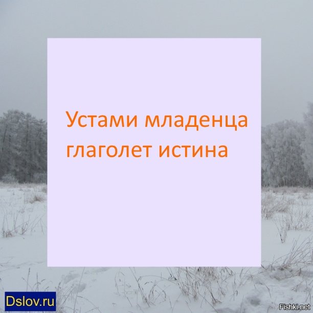 Глаголет. Устами ребенка глаголет истина. Устами младенца глаголет. Пословица устами младенца глаголет истина. Уста младенца глаголят истину.