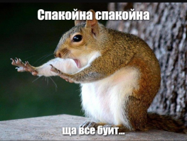 Любителям белок посвящается!