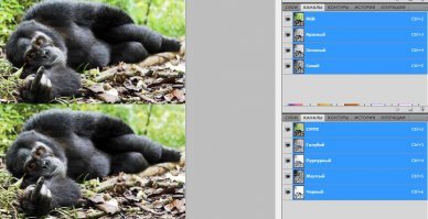 Чушь полнейшая!