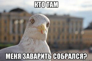 Скриншоты из социальных сетей