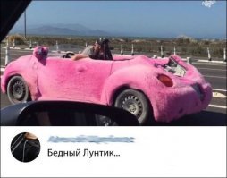 Автовсячина