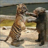 Разборка... :)