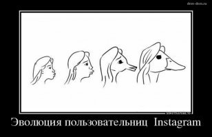 15 картинок о том, как работает эволюция