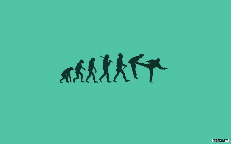 15 картинок о том, как работает эволюция