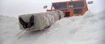 Невероятная история замерзшей Джин Хиллиард