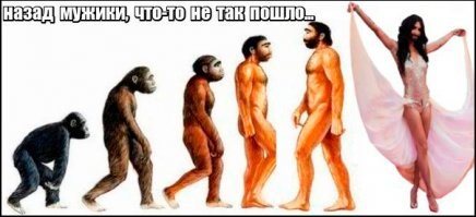 15 картинок о том, как работает эволюция