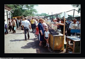 При чём здесь шапки-петушки, это птичка в выходные.