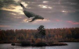 Упал просто...