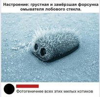 Картинки с надписями