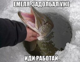 Не ожидали такой щуки. Мёртвая рыбка vs живой живец. Versus battle живцов