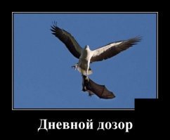 если по Лукьяненко, то всё таки "Ночной дозор"