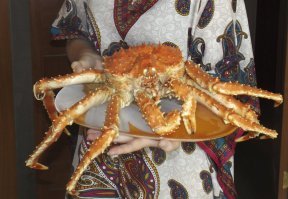 Не скажу что это каждодневный рацион, родня этим приезжала, фото мои, дома, поэтому обрезал... Икра красная, икра крабовая... Но позволить себе краба или креветок на Сахалине пока еще можно.