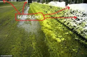 Явно видно, что на обочине и впереди по движению снег нормального цвета. Значит конкретно в этом месте что-то пролили, что окрасило снег.