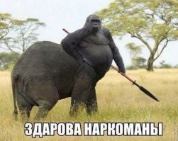 15 винтажных коллажей, пропитанных психоделикой