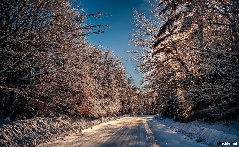 Очарование русской дороги