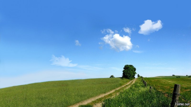 Очарование русской дороги