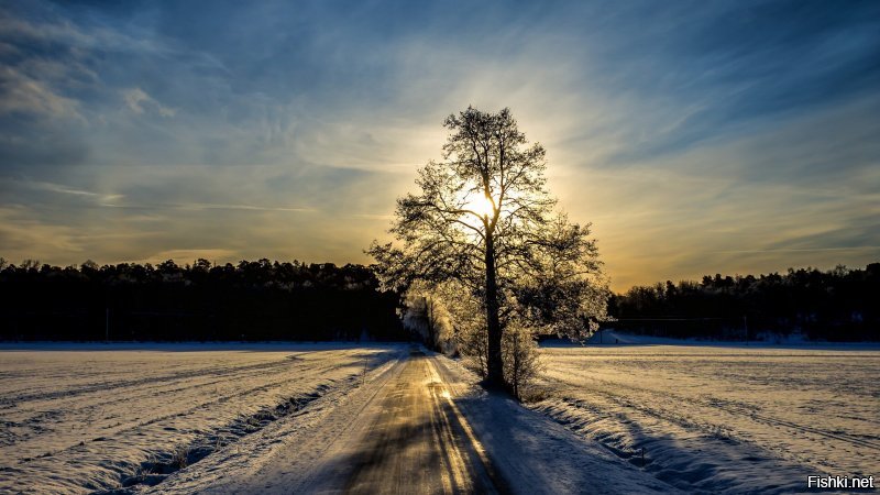 Очарование русской дороги