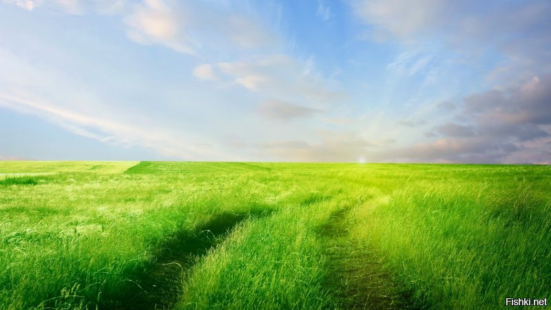 Очарование русской дороги