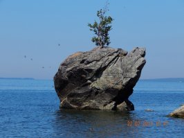 А выглядит она вот так.