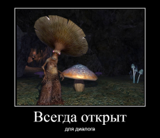 Прикольные и смешные картинки