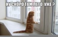 Намешалось