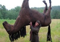 Скриншоты из социальных сетей