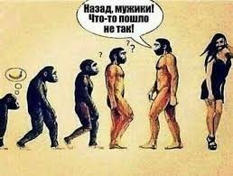 15 картинок о том, как работает эволюция
