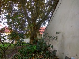 Бывали)) И еще фото с обратной стороны.