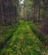 1. Деревня Лукино, Лен. Обл.
2. Бывший Архангельский тракт, Лен. Обл.
3. Автодорога 41К-122 Лен. Обл.