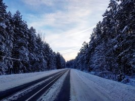 1. Деревня Лукино, Лен. Обл.
2. Бывший Архангельский тракт, Лен. Обл.
3. Автодорога 41К-122 Лен. Обл.