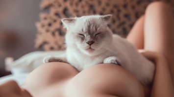 Чушь всё это. Политические настроения за последний год шибко изменились: За что вчера ставили плюсы, сейчас могут и морду набить :) А вот сиськи и котейки - наше всё.