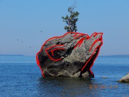 ПОхожа на нахмурившегося упыря, вынырнувшего из воды