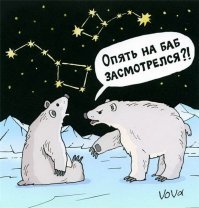 Белый и пушистый хищник: в мире отмечают День полярного медведя