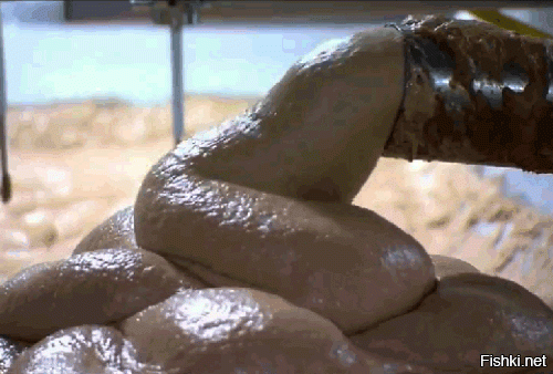 Она ничего отрицать не стала