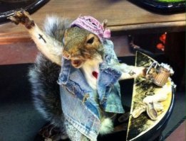 Интересные факты и фактики