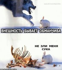 Ученые назвали пять животных, способных исцелять людей