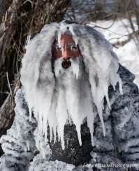 Невероятная история замерзшей Джин Хиллиард