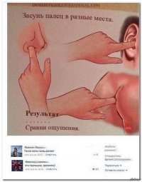 Прикольные и смешные картинки