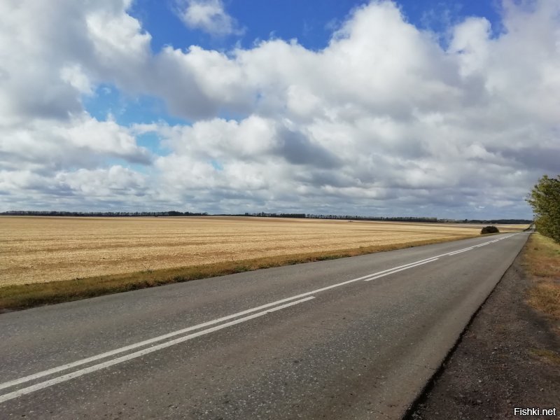 Белгородская область