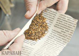 чичас бы махорочки