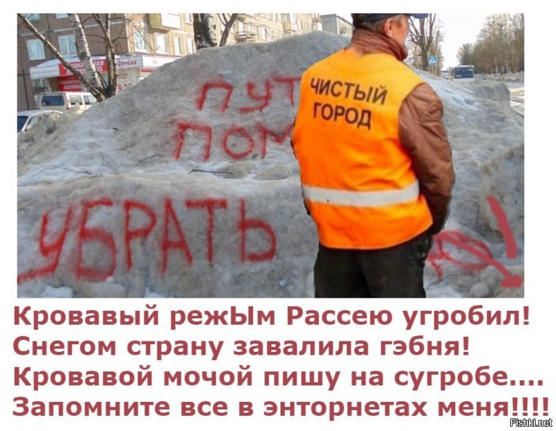 Карельский депутат написал на сугробе «Путин помоги убрать кучю». Чиновники пожаловались на него в п