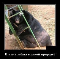 Интересные факты весны