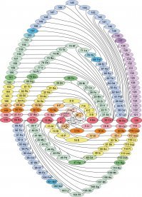 Вариантов упорядочивания много...Но менделеевский как то сподручнее...