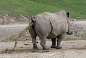 ПК сломался