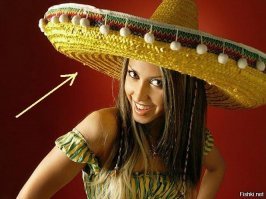 Да вот же оно. На самом виду...