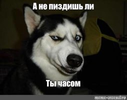 Охотник расстрелял шпионский дрон зоозащитников