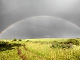 Очарование русской дороги