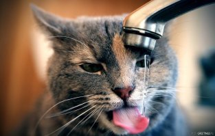 23 февраля никак не выйдет.