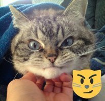 У тебя что? пальцы лишние?